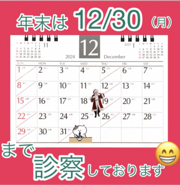 |  2024年12月の診療ご案内♪